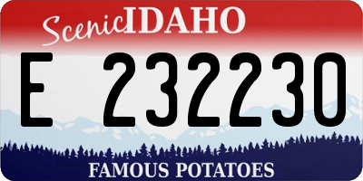 ID license plate E232230