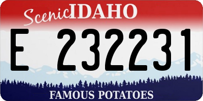 ID license plate E232231