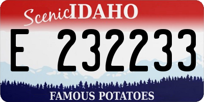 ID license plate E232233