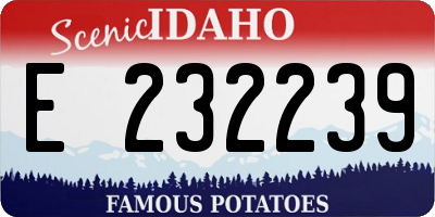 ID license plate E232239