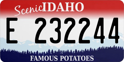 ID license plate E232244