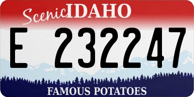 ID license plate E232247