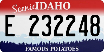 ID license plate E232248