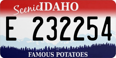 ID license plate E232254