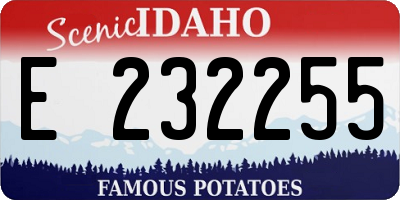 ID license plate E232255