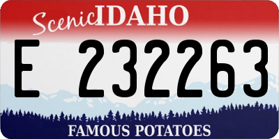 ID license plate E232263