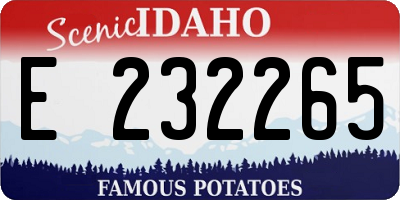 ID license plate E232265