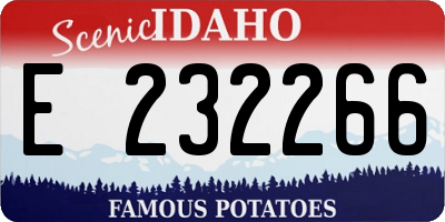 ID license plate E232266