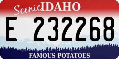 ID license plate E232268