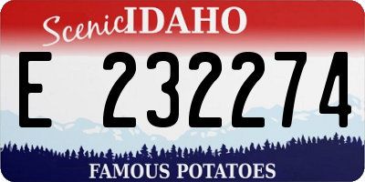 ID license plate E232274