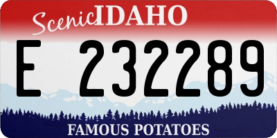 ID license plate E232289