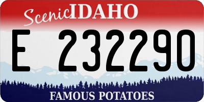 ID license plate E232290