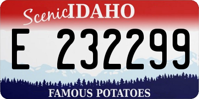 ID license plate E232299