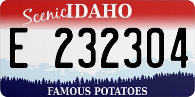 ID license plate E232304