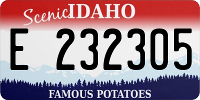 ID license plate E232305