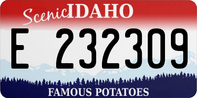 ID license plate E232309