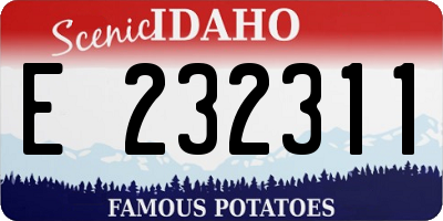 ID license plate E232311