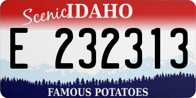 ID license plate E232313