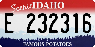 ID license plate E232316