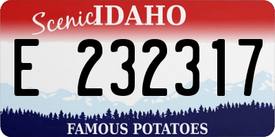 ID license plate E232317