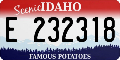 ID license plate E232318