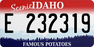 ID license plate E232319