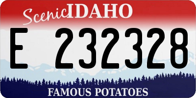 ID license plate E232328