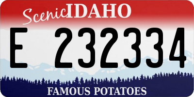 ID license plate E232334