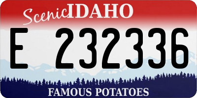 ID license plate E232336