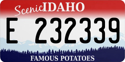 ID license plate E232339