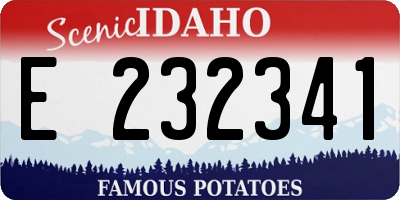 ID license plate E232341