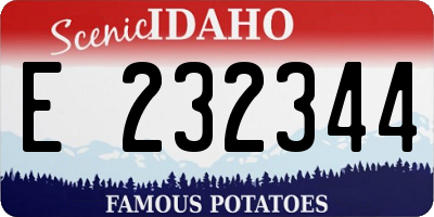 ID license plate E232344