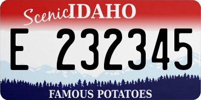 ID license plate E232345