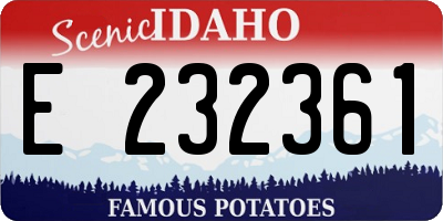 ID license plate E232361