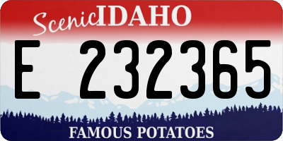 ID license plate E232365