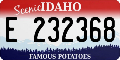 ID license plate E232368