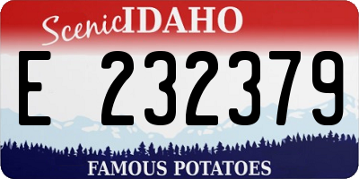 ID license plate E232379