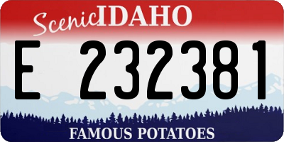 ID license plate E232381