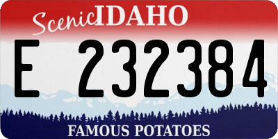 ID license plate E232384