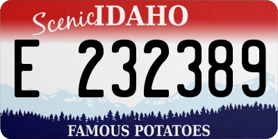 ID license plate E232389