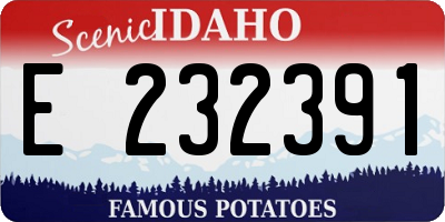 ID license plate E232391