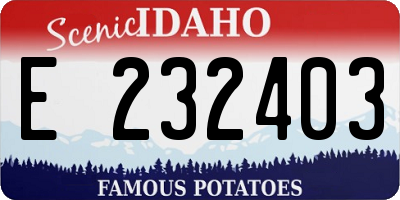 ID license plate E232403