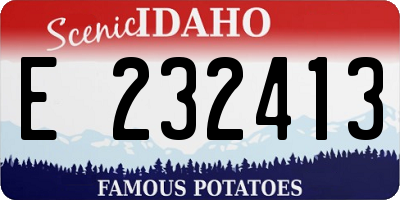 ID license plate E232413