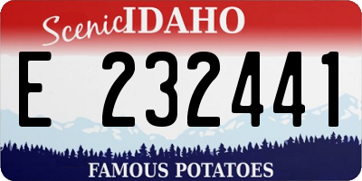 ID license plate E232441