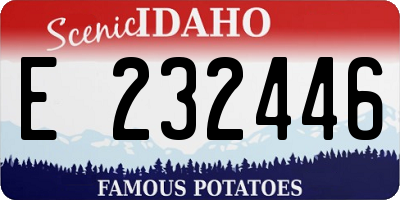 ID license plate E232446