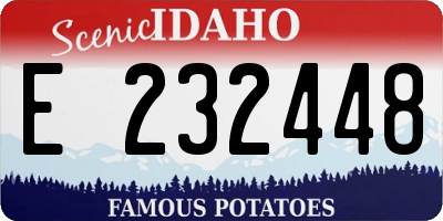 ID license plate E232448