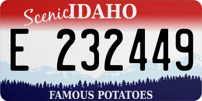 ID license plate E232449