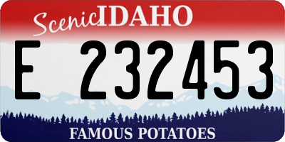 ID license plate E232453