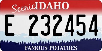 ID license plate E232454