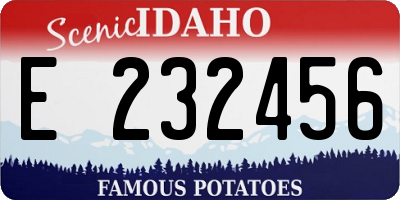 ID license plate E232456